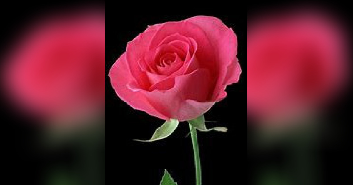 Mrs. Peggy Anne Thomas Richardson