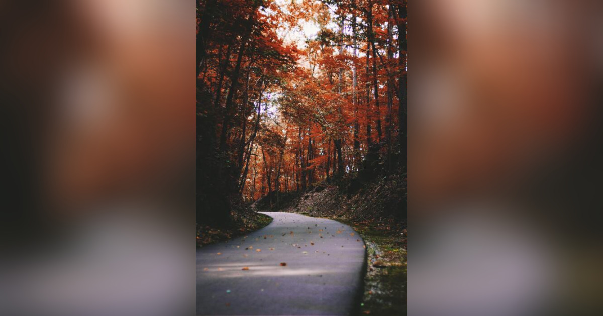 Obituary for Jack Russ McBride Humboldt Cremation & Funeral Service