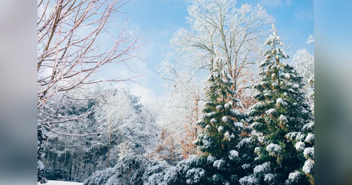 Obituary for Joseph Dean Kress Humboldt Cremation & Funeral Service