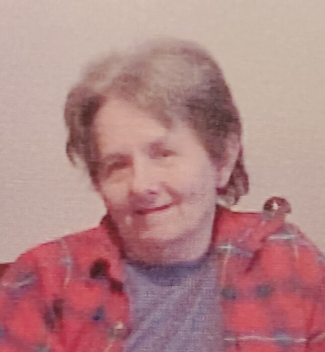 Obituary for Diane (Heatherly) Norvell Hahn Funeral Home