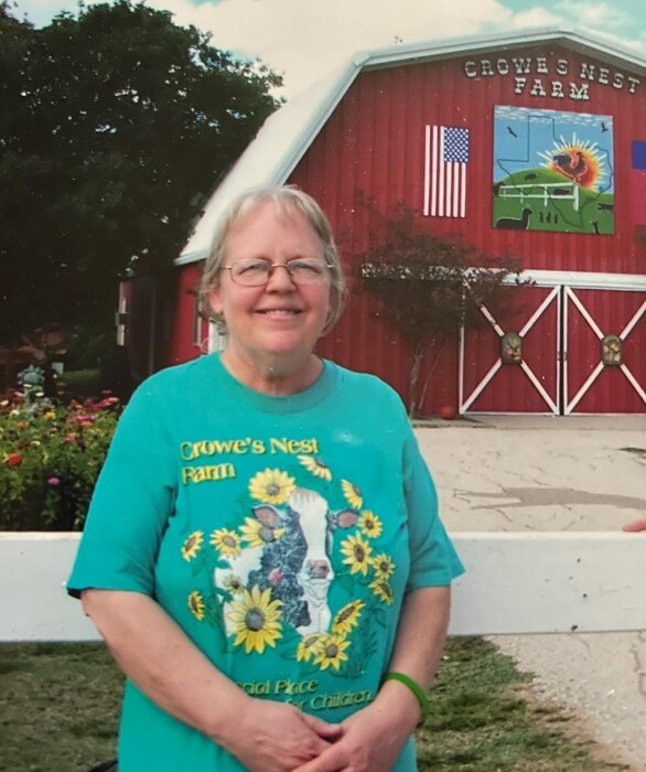 Obituary for Joyce Eileen (Davids) Christianson Hindt Funeral Home