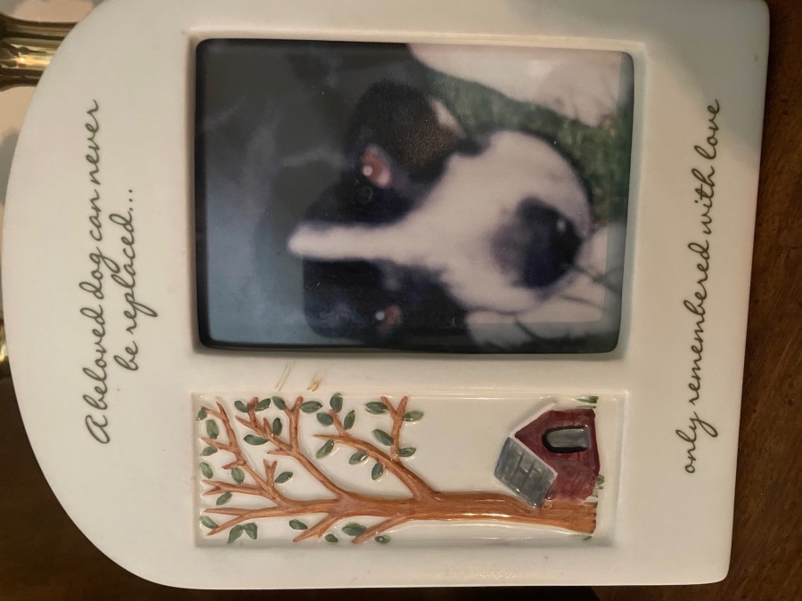 Obituary for Sharon C. (Myorski) Travis Louis E. Rudolph Funeral Home