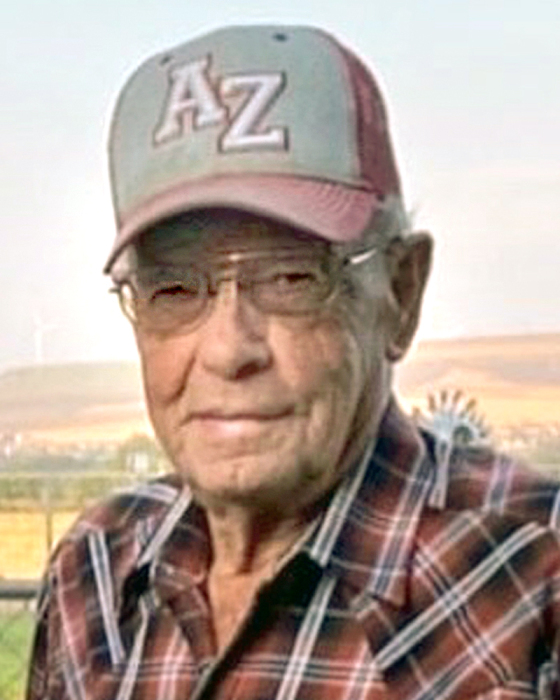 Park Obituary November 22, 2023 Wood Funeral Home & Crematory Ammon, ID