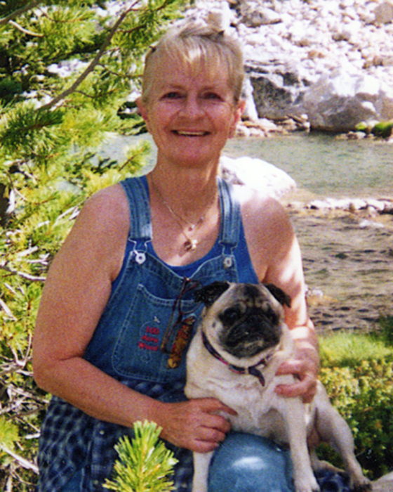 Donna Case Obituary April 8, 2024 Wood Funeral Home & Crematory