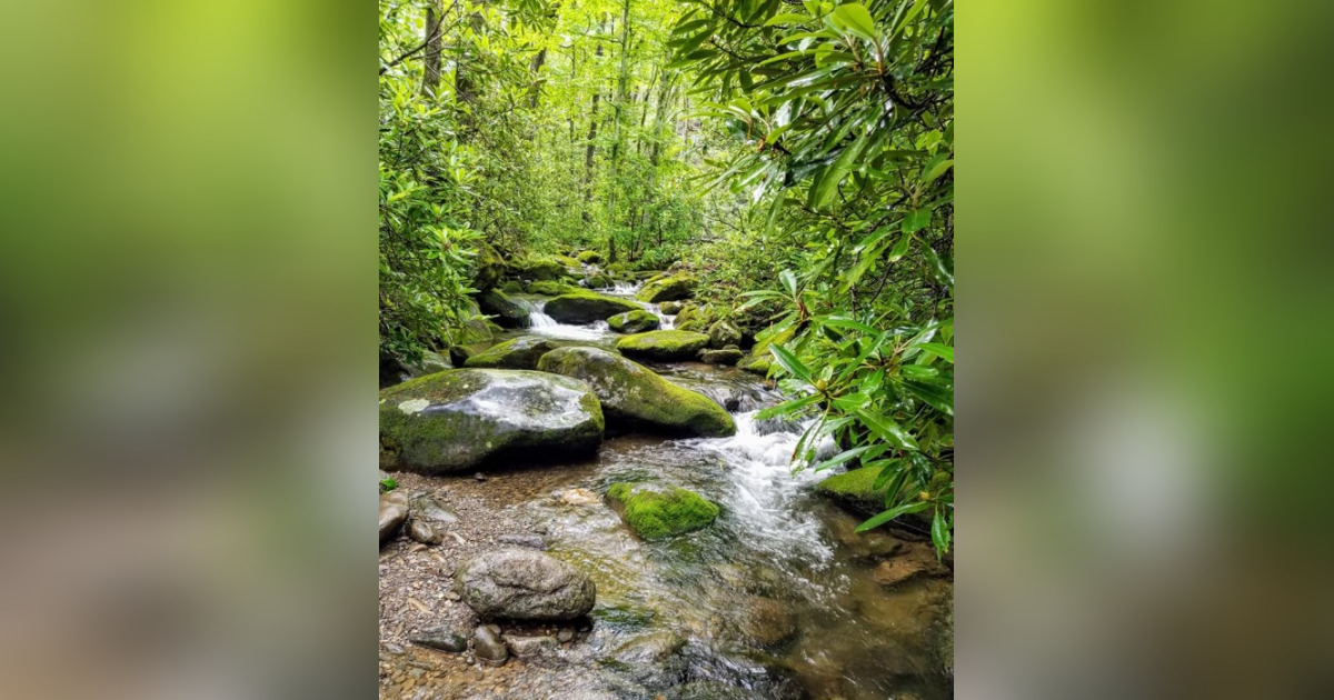 Sr. Timothy Orndorff