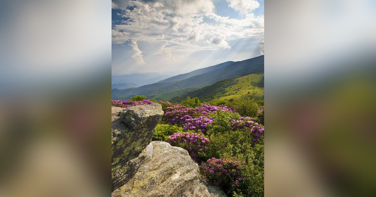 William QuotBillQuot Russell