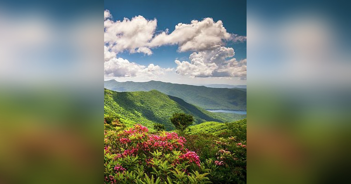 William "Bill" Parsons