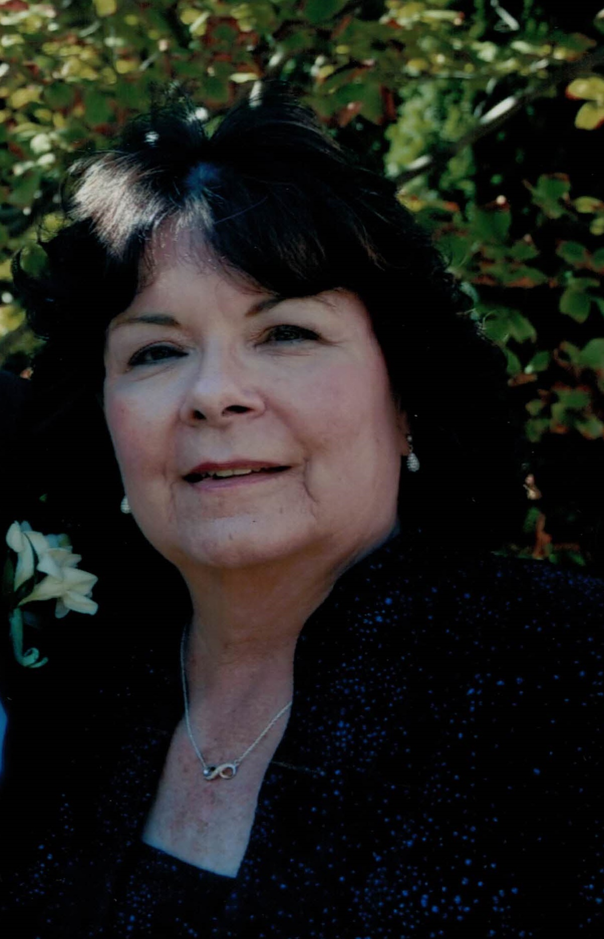 Obituary for Deirdre A. Towle Werner & Rothwell Funeral Home