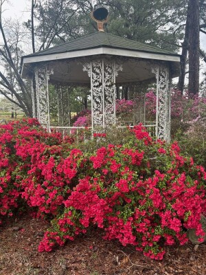 Patsy "Imojean" Johnson