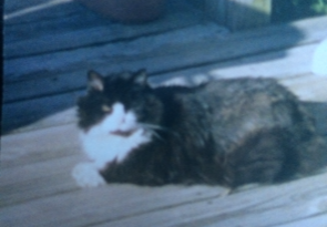 Christopher Belomizi