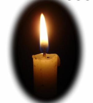 Mr. Ronald Robertson