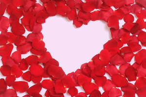 Doris Harville Steward