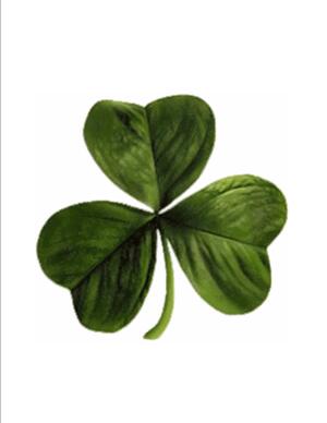 Dorothy "Dort" Byrne