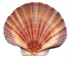 Geraldine "Jeri" Riley