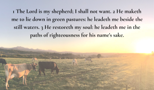 George Washington "G. W." Wright Jr.