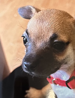 Kerry "PeeWee" Bryant