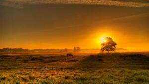 Jeffrey Travis "Jeff" Shelby