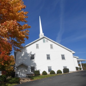 Dvm David Bradley Krehl