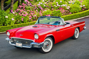 Dominique Memphis Harris