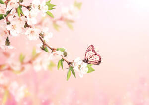 Margarette Longstreth