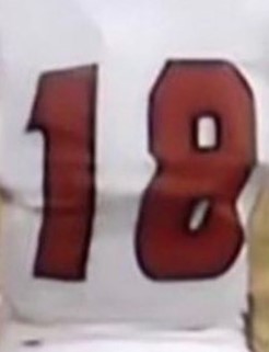 Harrison Chase Wilhoit