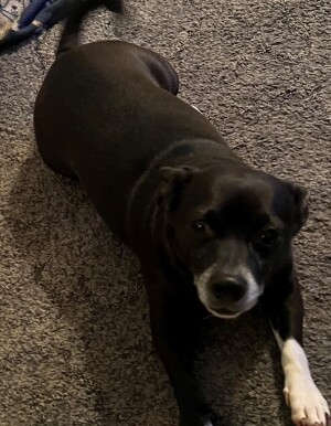 Larry Thomas Jackson