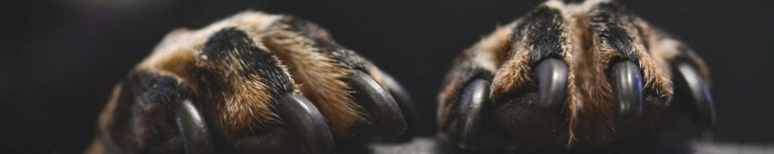 Christopher Helms Obituary September 15, 2024 Harris Funeral Home Kings Mountain, NC