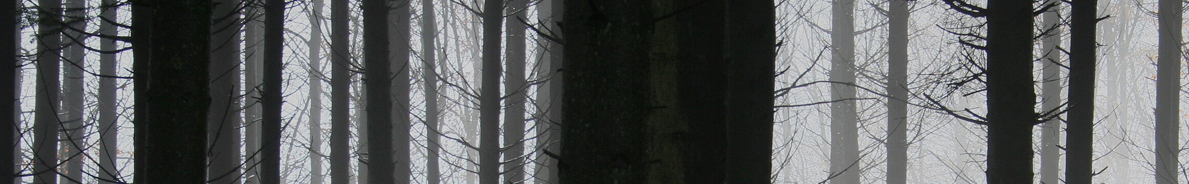 Nature 12