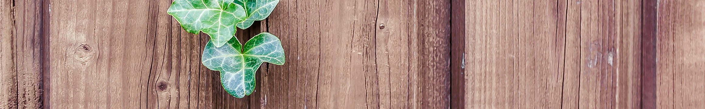 Wood Rustic 07