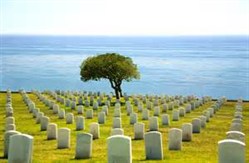 site image