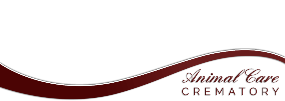 site image