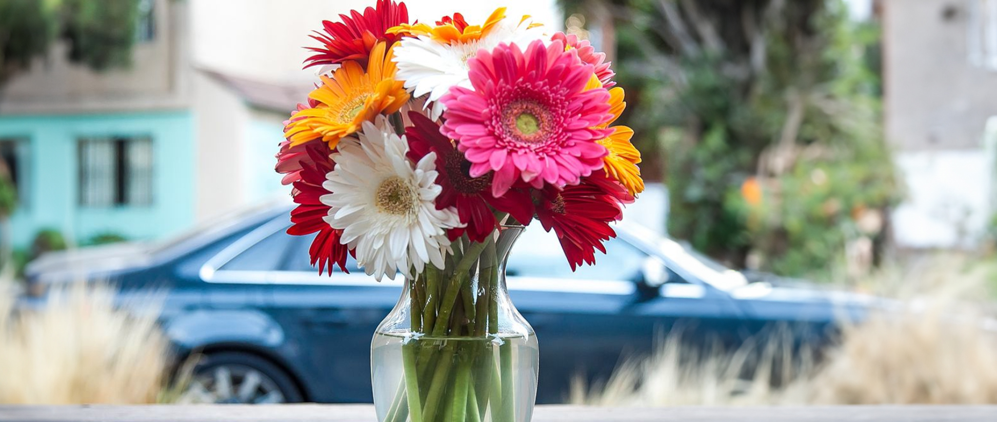 Adams Funeral Home NC Taylorsville NC funeral home and cremation