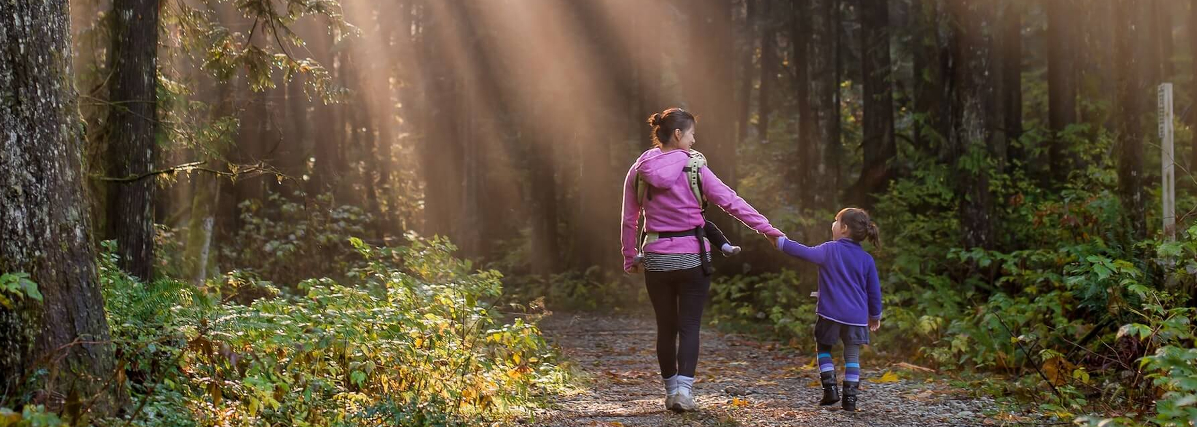 Andrew Wardlaw Funeral Home McCormick SC funeral home and cremation Abbeville SC funeral home