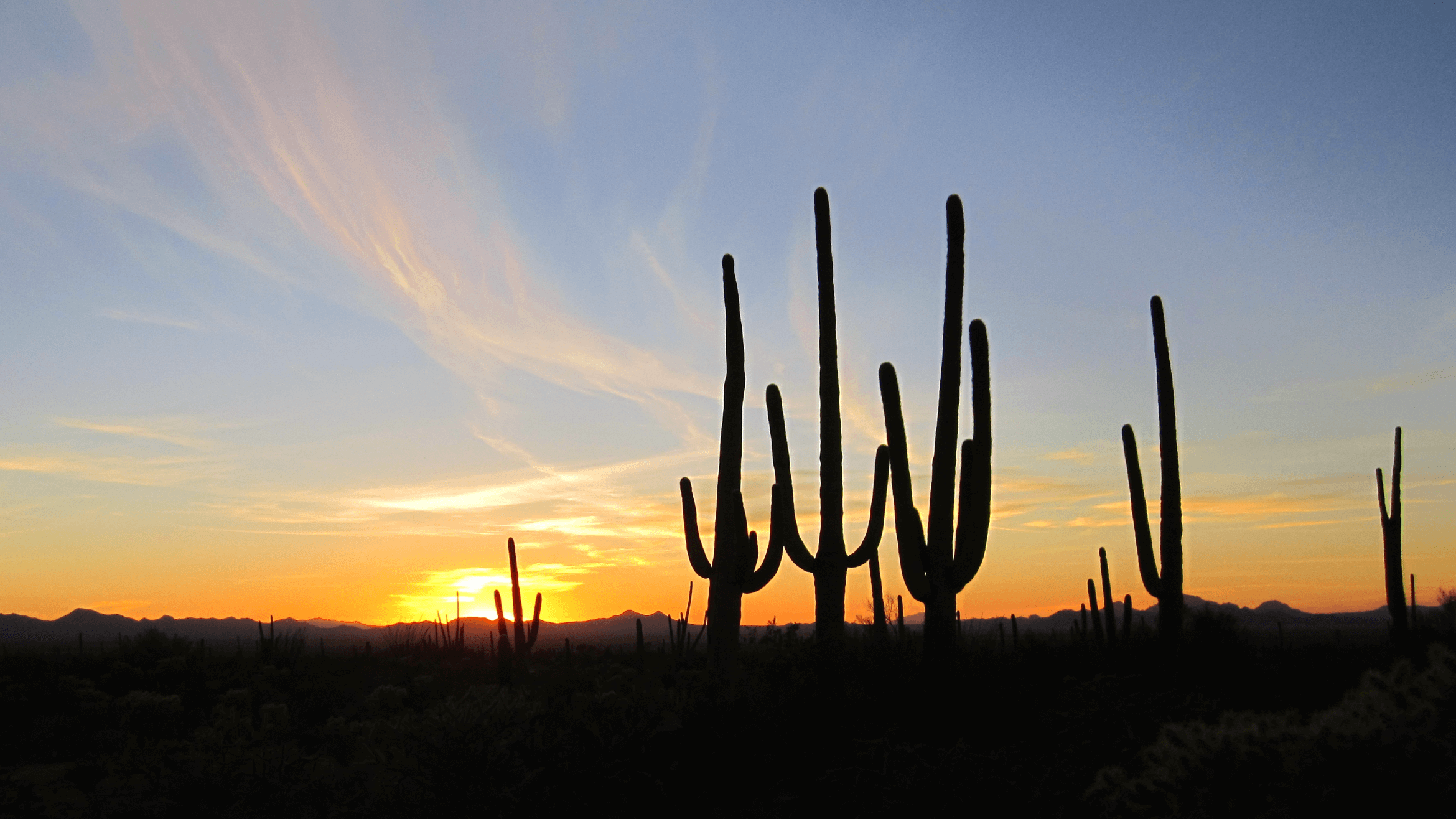 At Seasons End Mortuary Apache Junction AZ funeral home and cremation