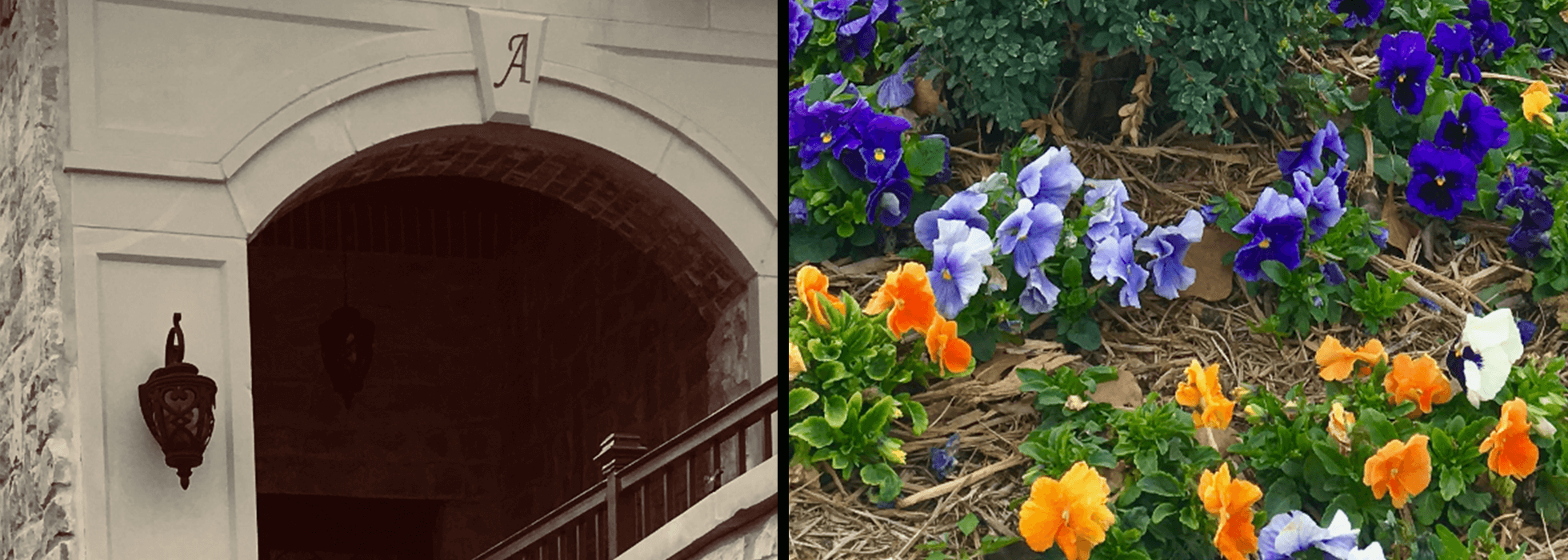 Azle & Lake Worth Funeral Home Azle TX funeral home and cremation