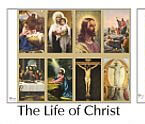 site image