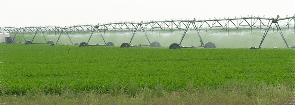 baucke funeral home and monuments