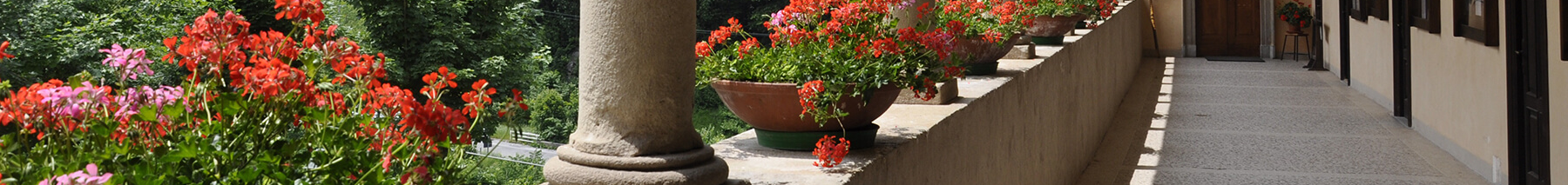 site image
