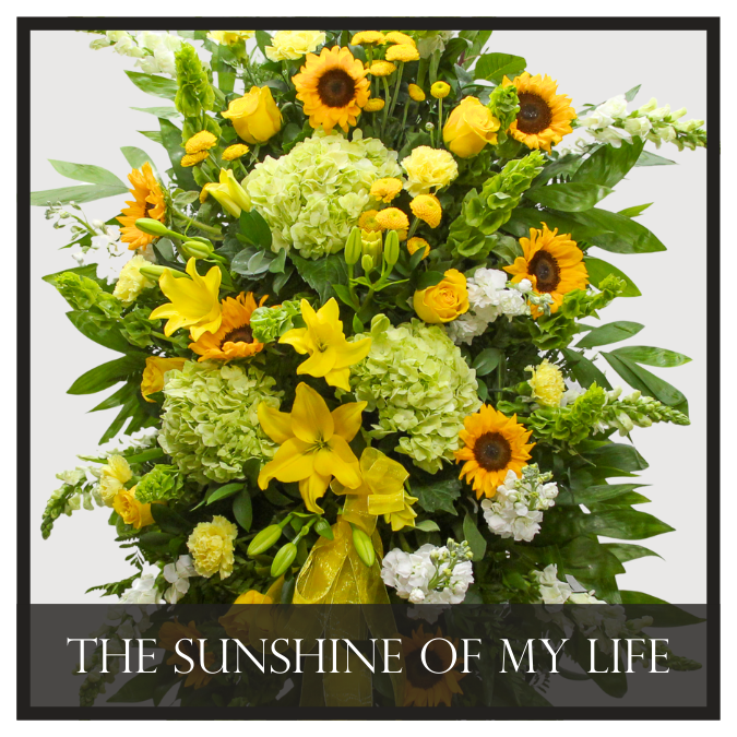 The Sunshine of My Life