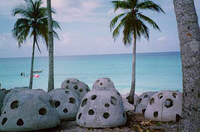 site image