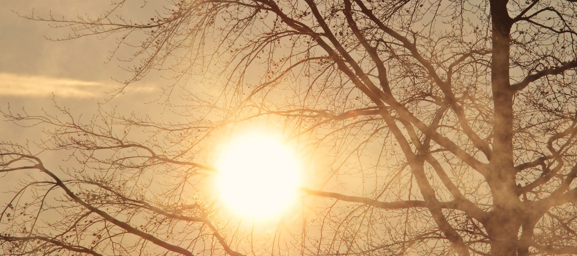 Camino del Sol Funeral Home Oxnard CA funeral home and cremation