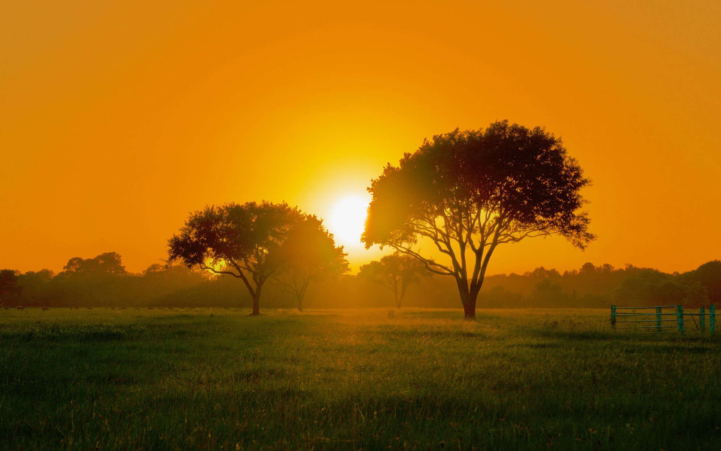 Crandell Funeral Home Fremont MI funeral home and cremation White