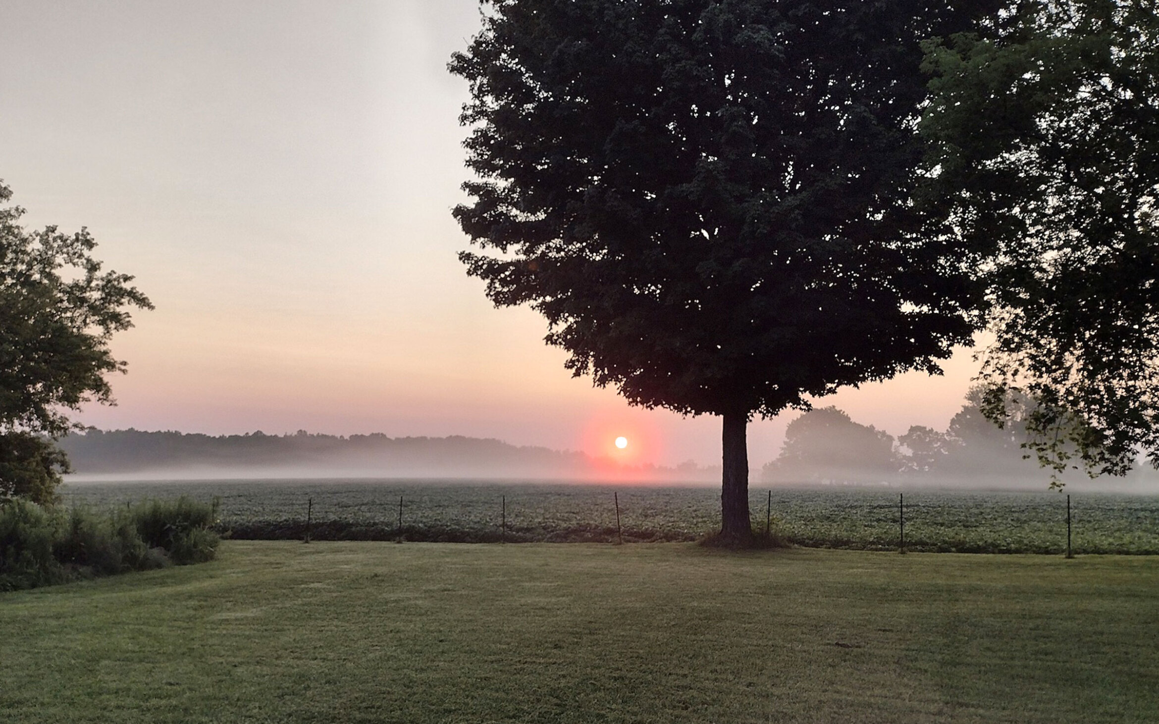 Crandell Funeral Home Fremont MI funeral home and cremation White