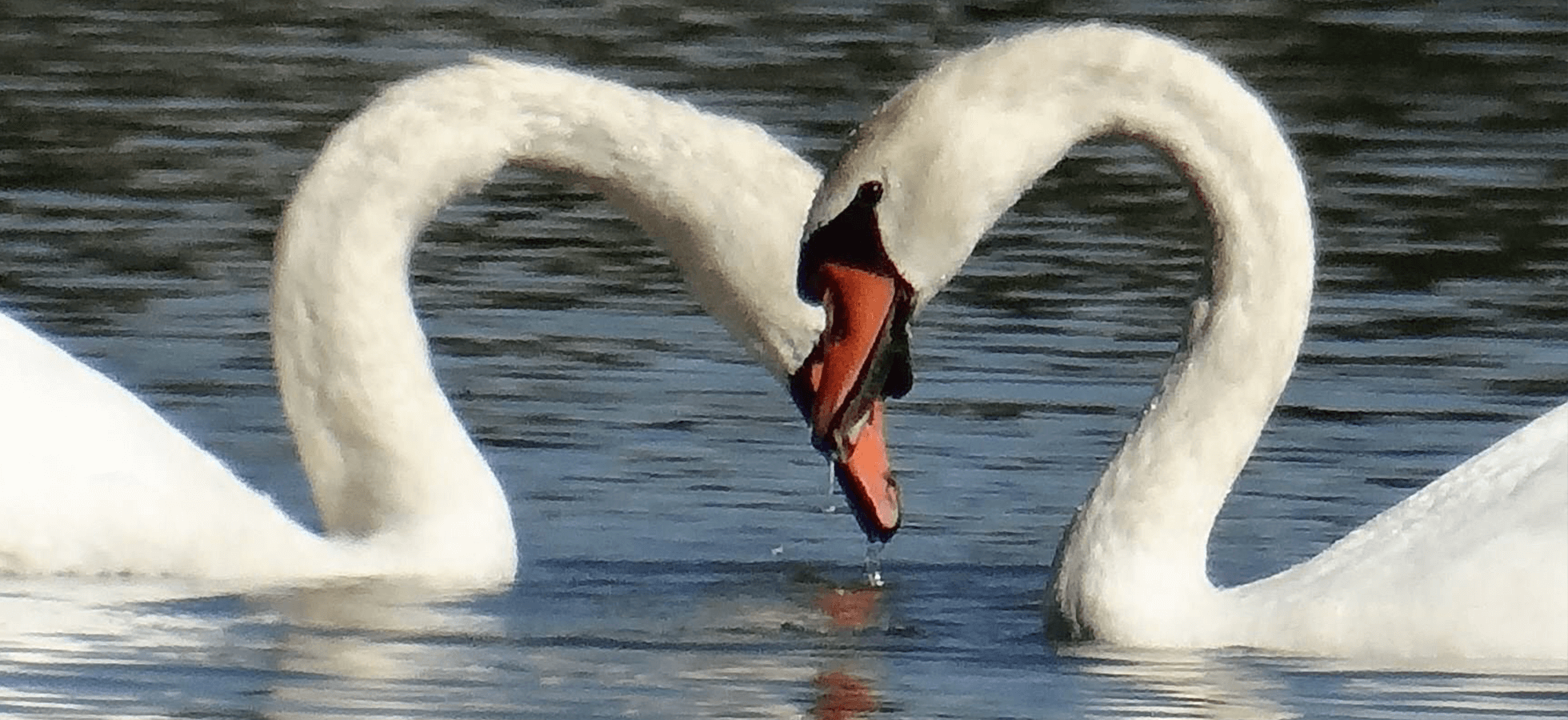 Cutler Funeral Home and Cremation Center La Porte IN