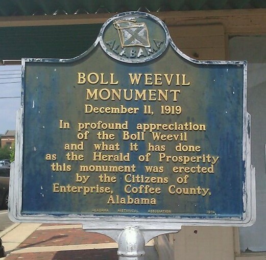 About Us Coleman Funeral Home Elba AL funeral home and cremation