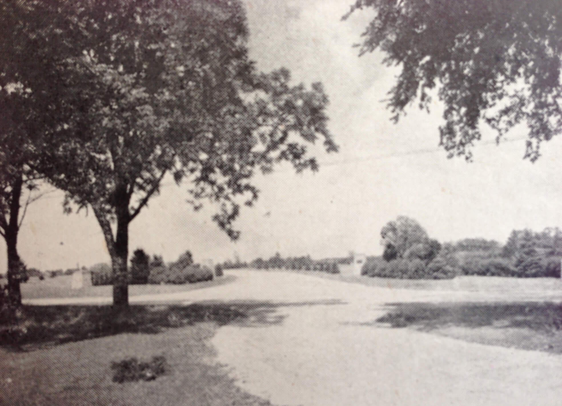 site image