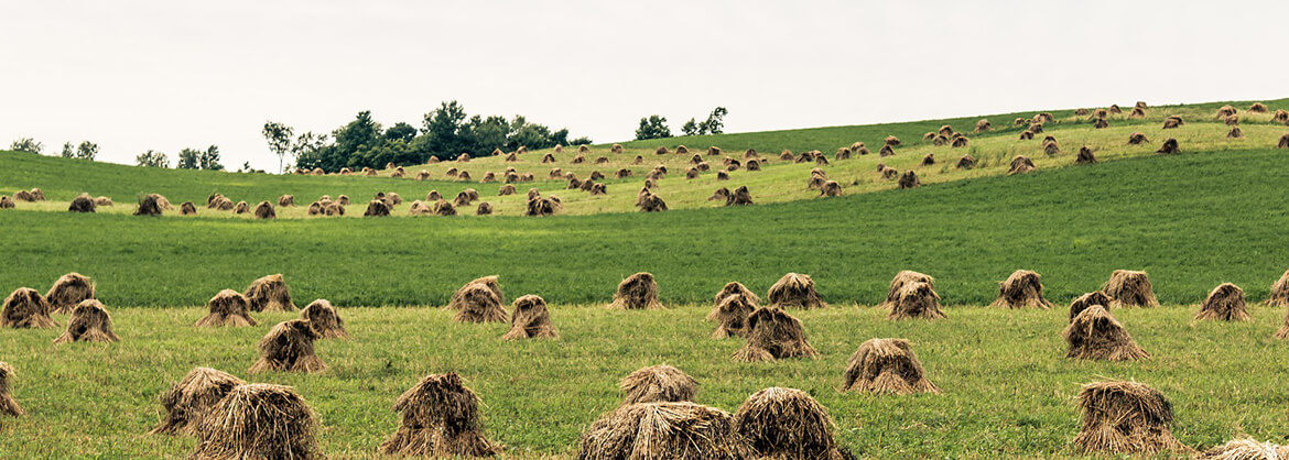 Clark-Kirkland-Barr Funeral Home, Inc. | Cadiz OH funeral home and