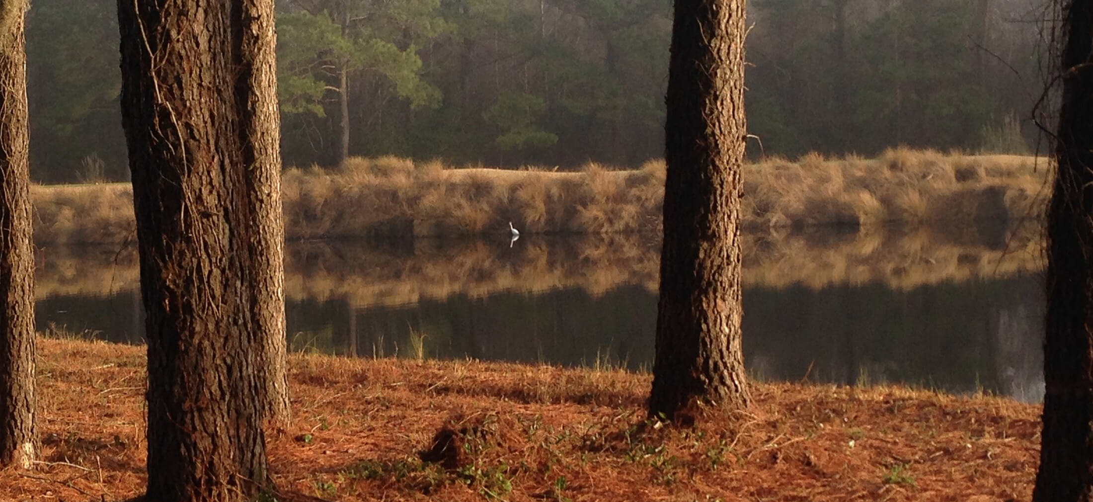 Chris King Memorial Chapel Chester SC funeral home and cremation