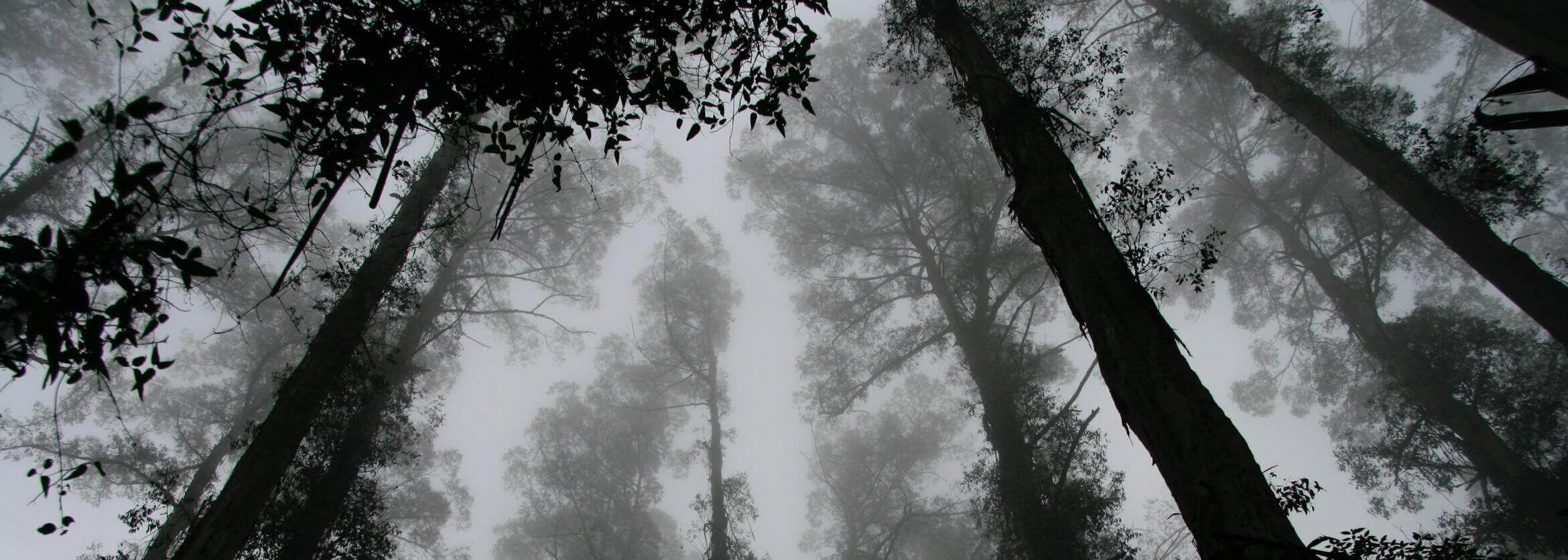 Clarke & Sons Funeral Home, L.L.C. Kansas City MO funeral home and