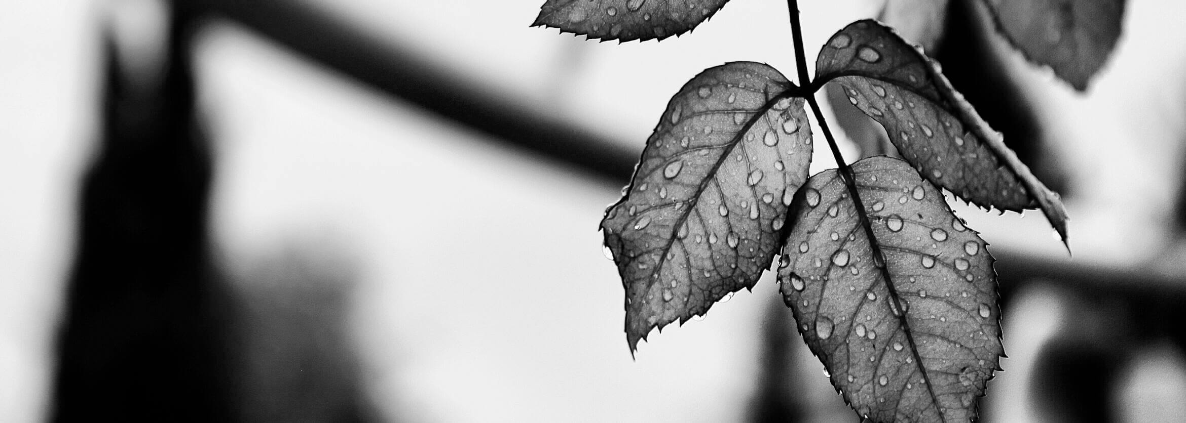 Clarke & Sons Funeral Home, L.L.C. Kansas City MO funeral home and